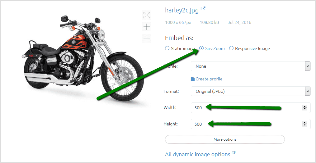 Choose Sirv zoom settings Choose Sirv zoom settings