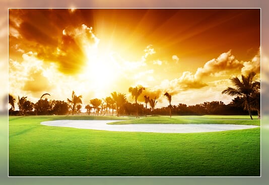 Example image with mirror frame