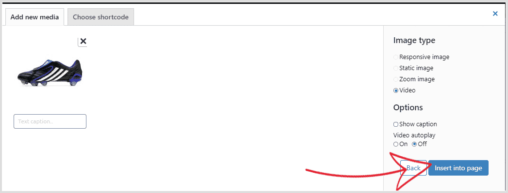 Insert Sirv image into WordPress page or post Insert Sirv video into WordPress page or post