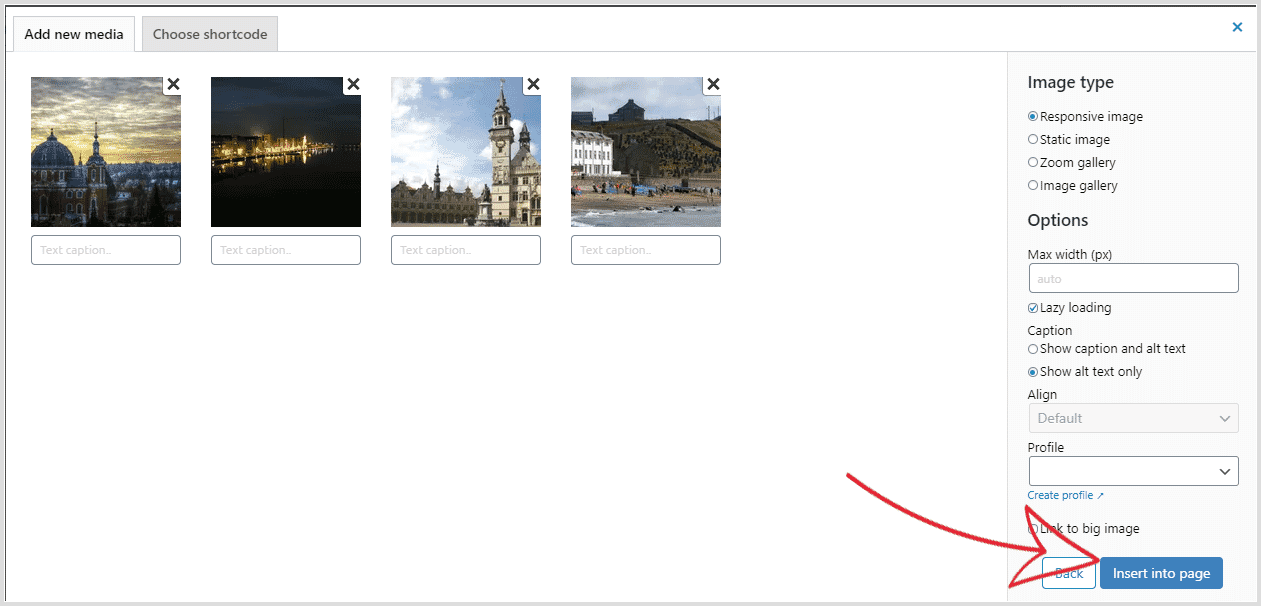 Insert Sirv responsive images into WordPress page or post Insert Sirv responsive images into WordPress page or post