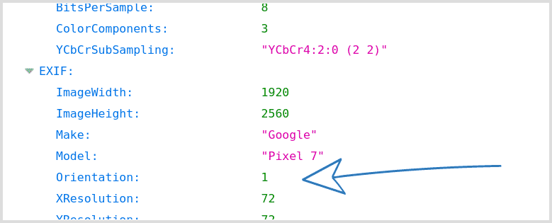 Screenshot showing EXIF orientation metadata in Sirv ?info request