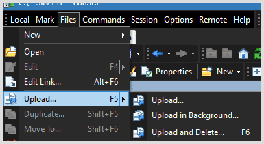 WinSCP screenshot, upload and delete files