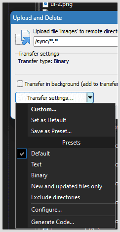 WinSCP screenshot, generate code