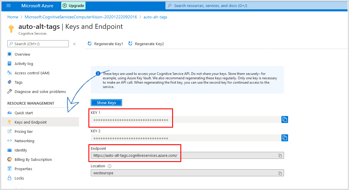Azure computer vision API keys