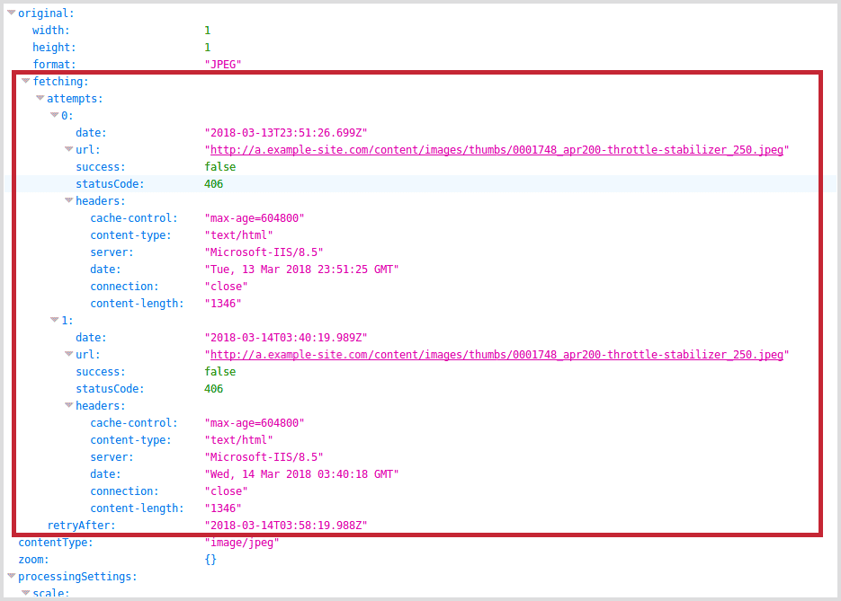 Fetch images automatically - screenshot of JSON information when 406 error