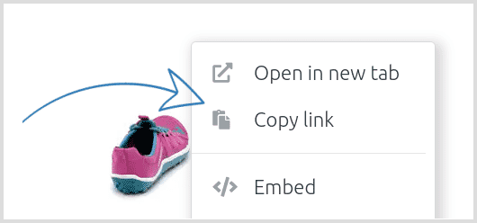 Copy link of your spin file