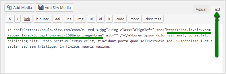 Sirv plain image code in WordPress