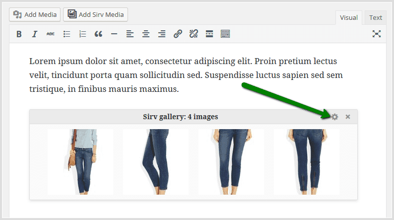Update Sirv responsive gallery settings