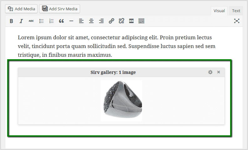 Sirv spin appears as a gallery