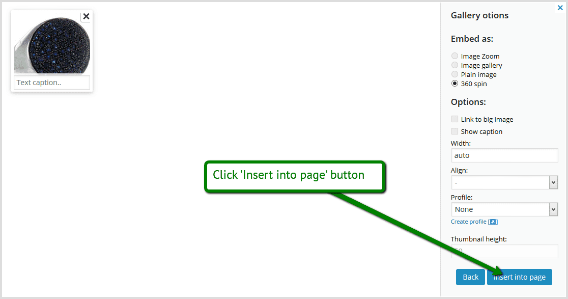 Insert Sirv spin into WordPress page or post