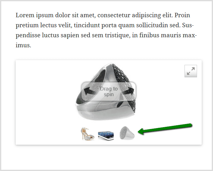 Preview Sirv Spin gallery on WordPress page or post
