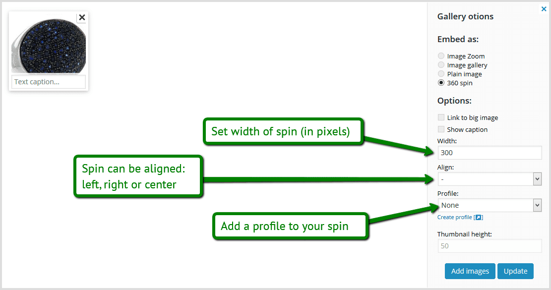 Update Sirv Spin settings