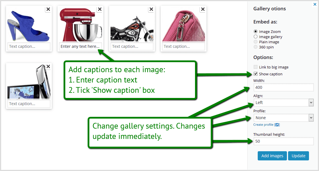 Add captions to Sirv images in WordPress