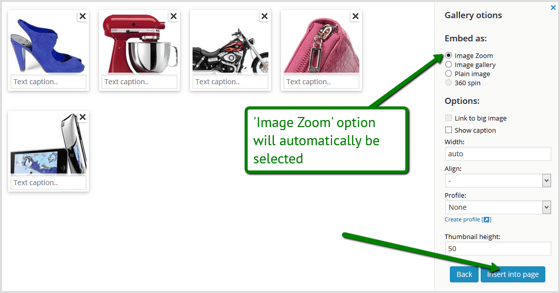 Insert Sirv zoom into WordPress page or post