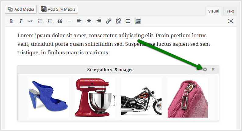 Update Sirv Zoom gallery settings